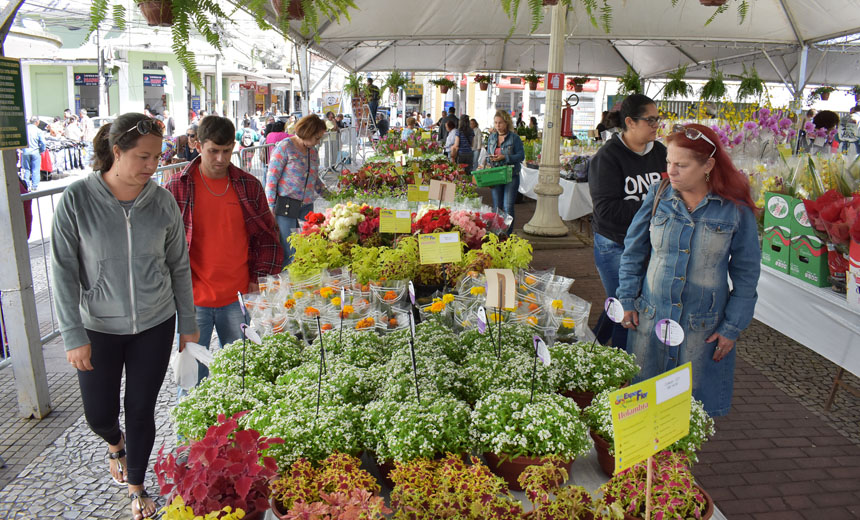 Juiz de Fora sediará 19ª Feira de Flores de Holambra em julho